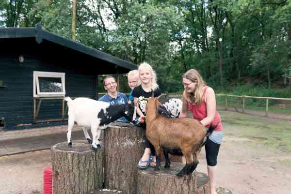Rabbit Hill op de Veluwe, erg leuk voor de kids