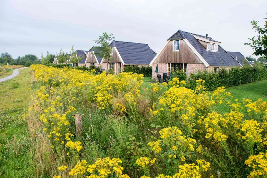 Moderne bungalows in het Drentse groen op Orveltermarke