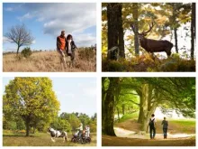 10 manieren om de Veluwse natuur te ontdekken