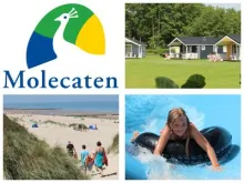 Voordelig nazomeren bij Molecaten