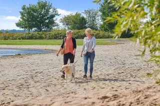 Camping Meerwijck