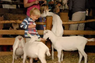 Boerderij 't Geertje