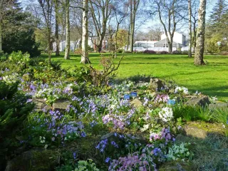 Botanische Tuin
