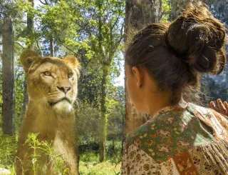 DierenPark Amersfoort
