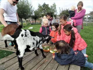 Dierenweide Goverwelle