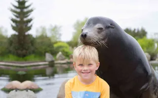 Dolfinarium