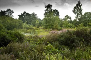 Heemtuin Rucphen