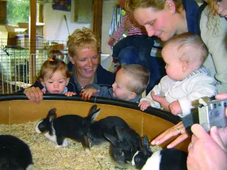 Kinderboerderij Dondertman