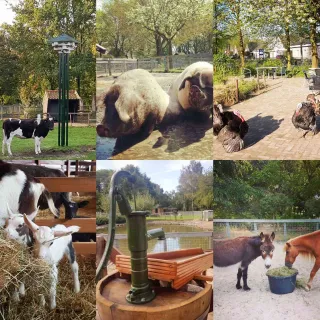 Kinderboerderij MEK
