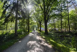 Nationaal Park Utrechtse Heuvelrug