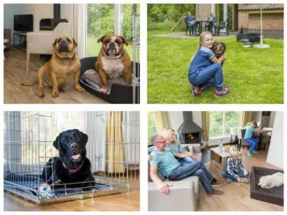 Landal Hondenbungalows, verblijven met de hond op een vakantiepark