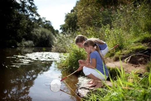 Mooie natuur rondom het park