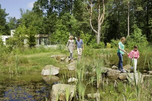 Gezin loopt over boomstronk op het park