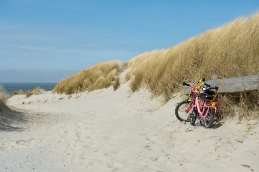 De Amelandse duinen