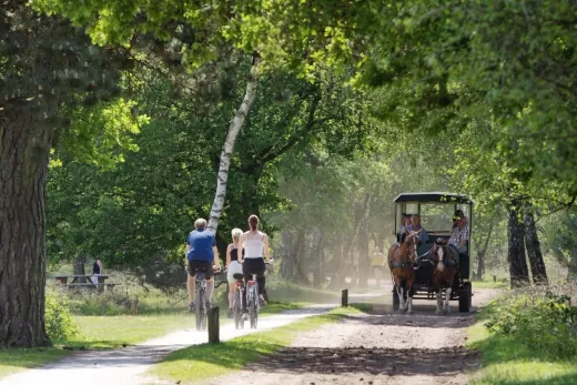 Bosrijke omgeving