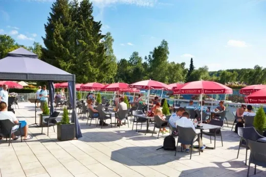 Terras