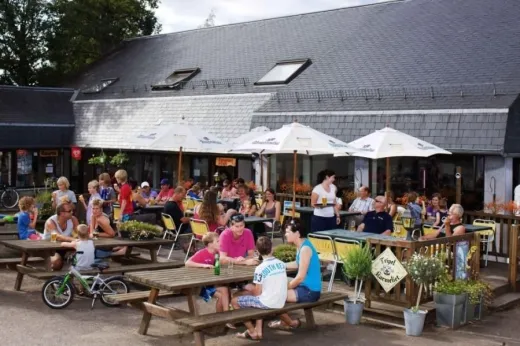 Terras
