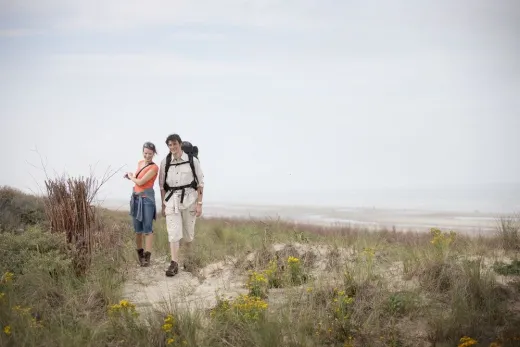 Duinen