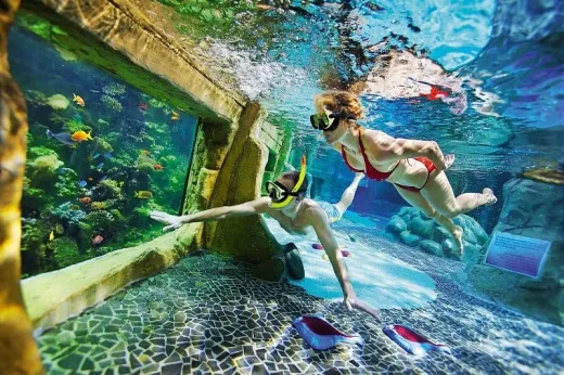 Duiken in het snorkel bad met vissen