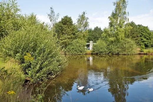 Water op het park