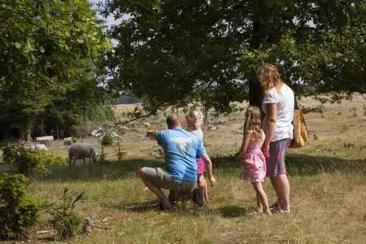 Ontdek de omgeving van het park