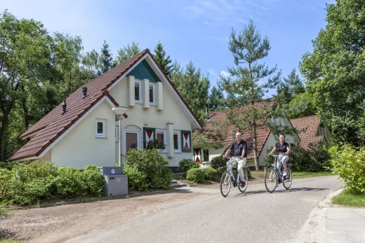 Mensen fietsen over het park