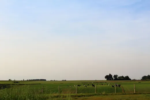 Het prachtige uitzicht aan de rand van het park
