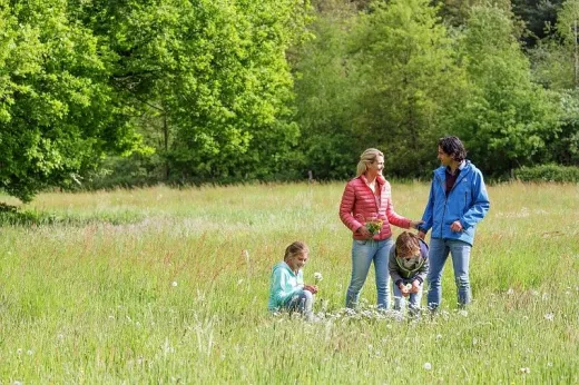 Gezin zit buiten in de natuur