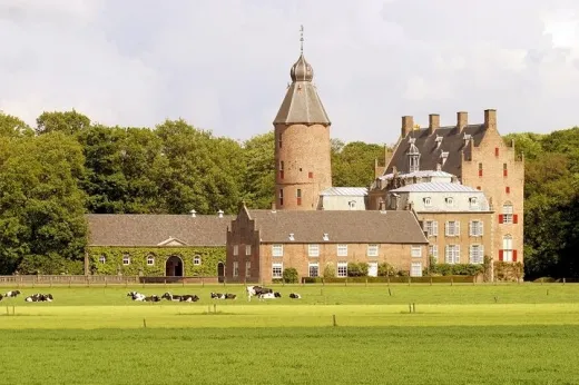 Omgeving