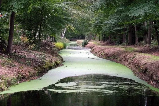 Mooie natuur in de omgeving