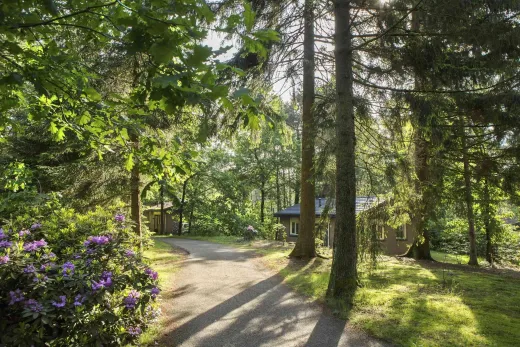 Sfeerimpressie van Landal Heideheuvel