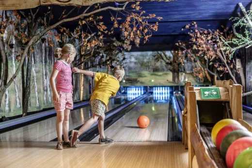 Kinderen bowlen op Landal Heideheuvel