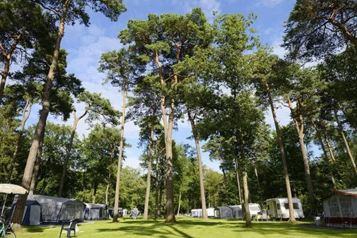 De camping van RCN Het Grote Bos 