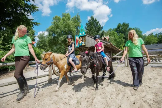 De Ponyranch op Het Land van Bartje