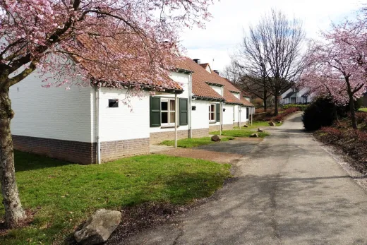 De bungalows op het park