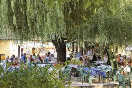 Het terras van het restaurant op het park