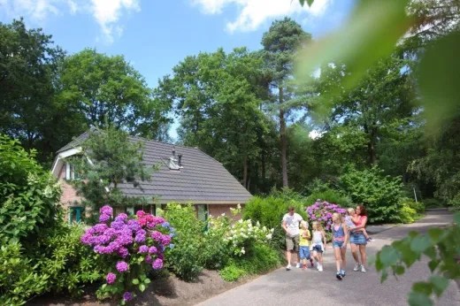 Mensen wandelen over het park