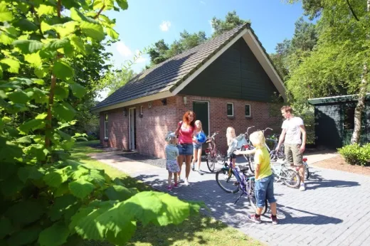 Huur een fiets op het park en maak een fietstocht