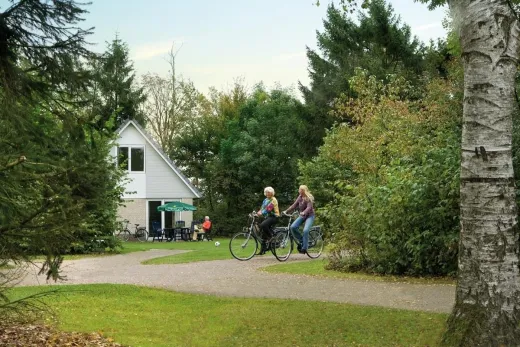 Mensen fietsen over het park