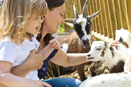 Moeder en dochter op de kinderboerde