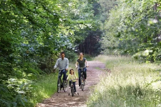 Gezin fietst in het bos