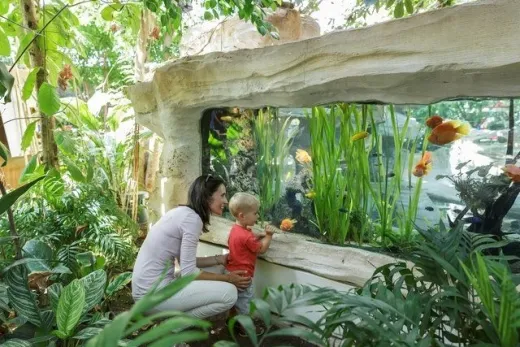 Moeder en dochter kijkend naar vissen in Aquarium