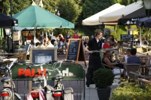 Terras