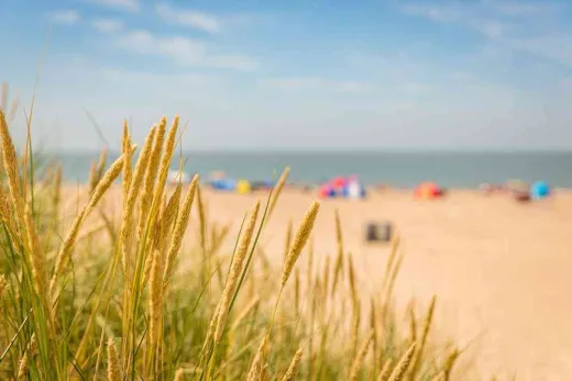 Strand
