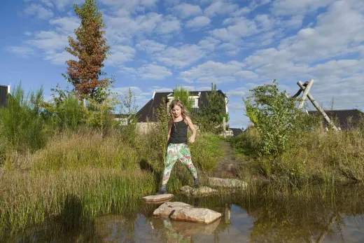 Drentse natuur rondom Landal Orveltermarke