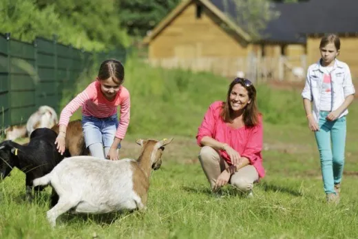 Moeder en dochters zijn op de kinderboerderij