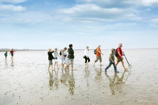 Groep gaat wadlopen