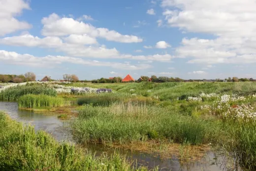 De omgeving van het park