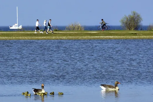 Maak een wandeling langs het water.