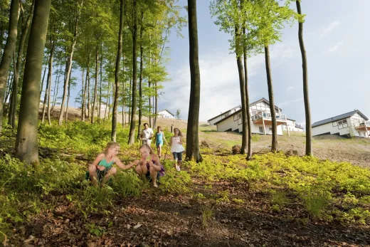 Bosrijke omgeving van Landal Winterberg 